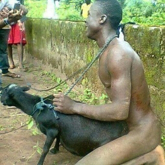 OMG ! This Man Was Arrested For Having S 3x With A Goat In Katsina [ Photo 18 +]
