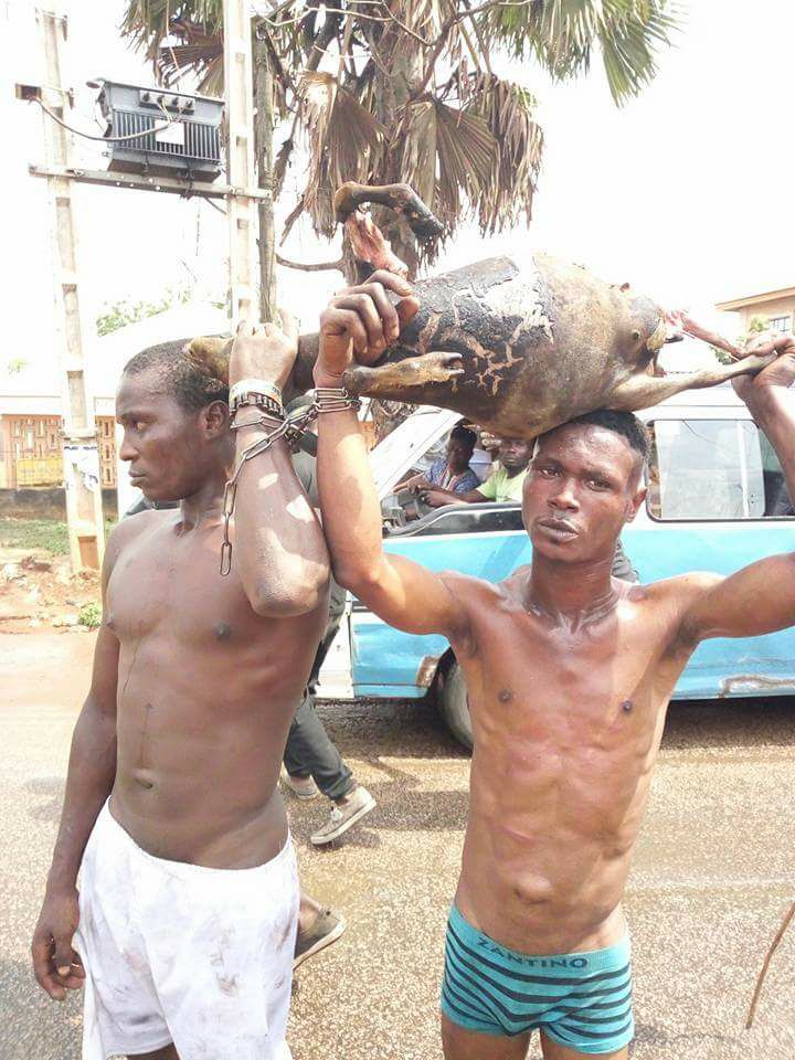 Chai! See What They Did To These 2 Men Cuaght Roasting A Stolen Goat (Photo)