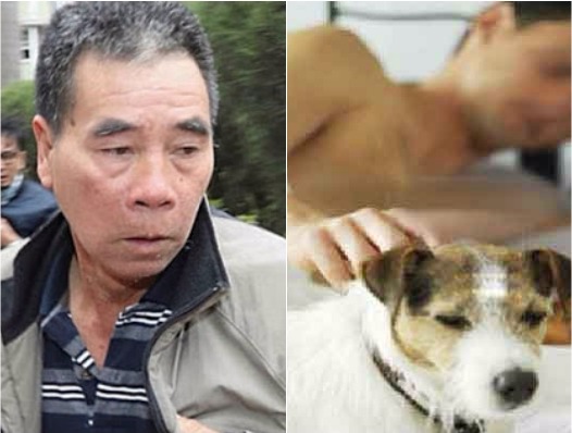 ' I Heard A Female Voice Telling Me To Have S3x With The Dog': Man Who Had S3x With A Dog (Photo)
