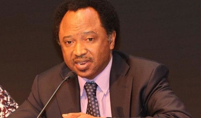 SO SAD!"Blood Is Becoming Cheaper Than Water And Petrol In Nigeria" - Shehu Sani