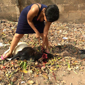 Photo Of Pretty Nigerian Lady Slaughtering A Goat For Christmas Goes Viral