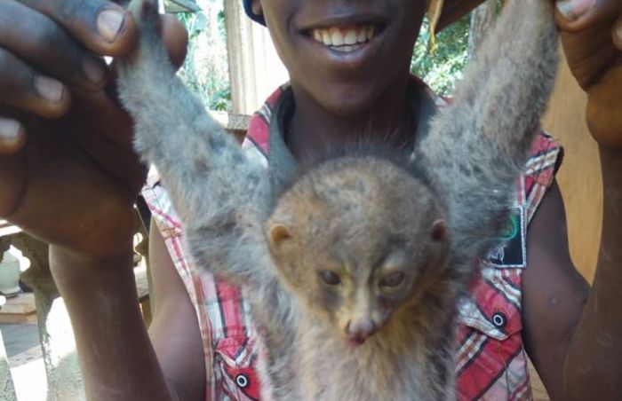 So Strange!! Boy Poses With Bush Baby In Enugu State After It Was Killed (See Photos)