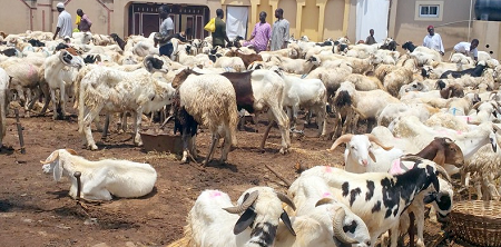 FG Declares Friday, Monday Public Holidays