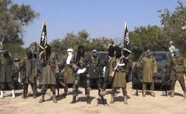 Boko Haram: Army Kill 14 Terrorists, Rescue 30 Others In Borno State