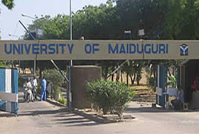 70 UNIMAID Lecturers Resign Over Boko Haram Attacks