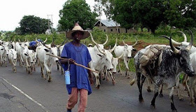 Three Killed In Renewed Fulani/Farmer Crisis In Benue