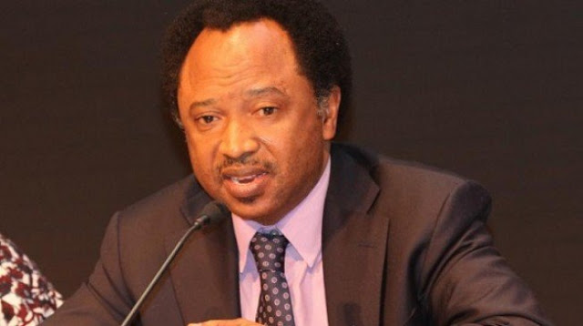 Why I Revealed How Much Senators Earn - Shehu Sani