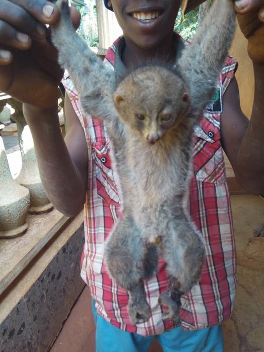 So Strange!! Boy Poses With Bush Baby In Enugu State After It Was Killed (See Photos)