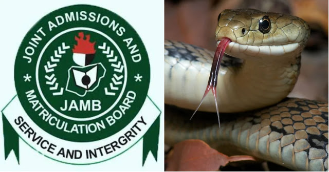 "Has Snake Swallowed Our JAMB Results?" - Candidates Ask JAMB