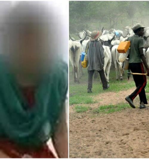 72-Years-Old Woman Raped to Coma by Fulani Herdsmen on her farm in Ondo State