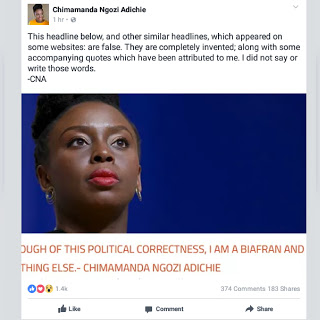 'I Didn't Say I Am A Biafran'- Chimamanda Adichie