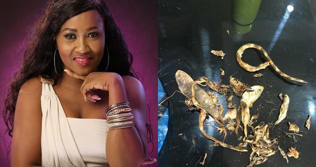 Actress Mary Remmy finds dried snake in crayfish she bought