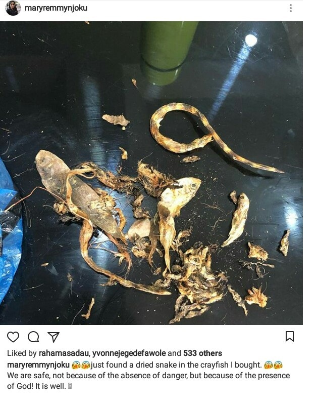 Actress Mary Remmy finds dried snake in crayfish she bought