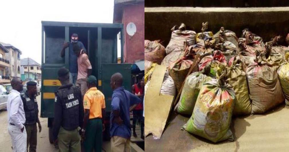 Man arrested with 27 bags of human faeces (Photos)