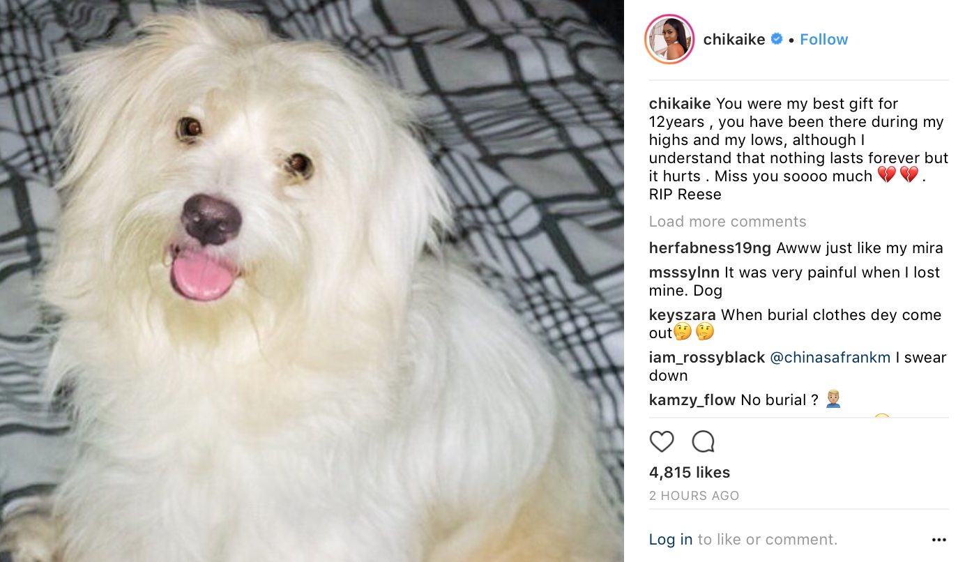 Chika Ike loses her best gift of 12 years, mourns loss