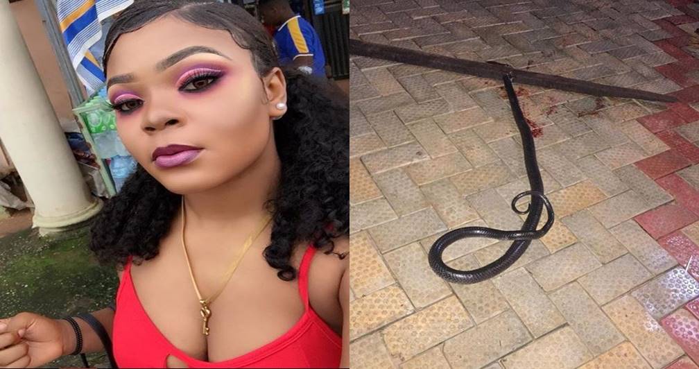 Lady advises Nigerians after killing a snake in her toilet