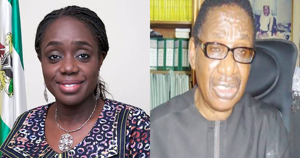 'Who cares about NYSC certificate, we can't lose Kemi Adeosun, she's damn good' - Prof Sagay says