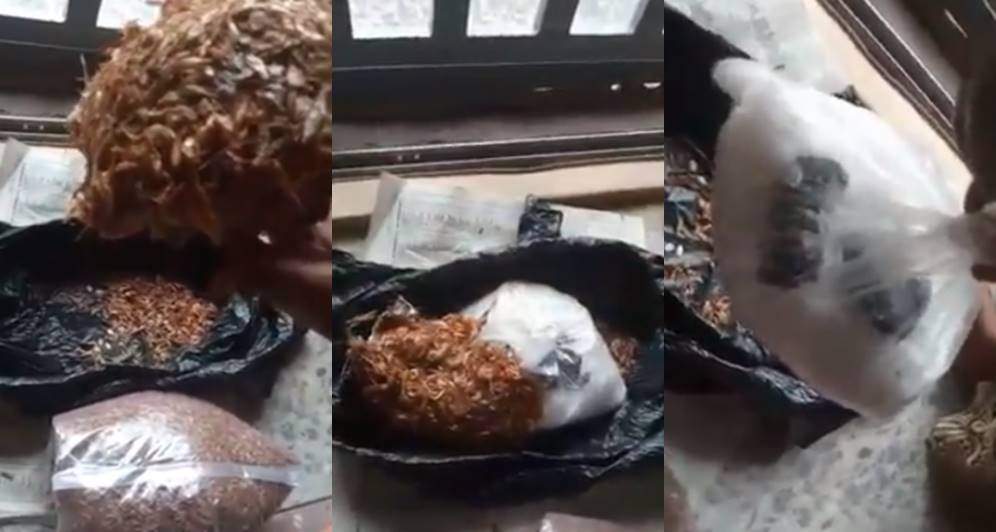 Nigerian lady heading to Italy finds hard drugs in crayfish she was asked to deliver (Video)