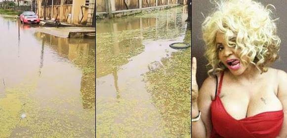 Fix poor drainage system, get our vote- Cossy Ojiakor to politicians