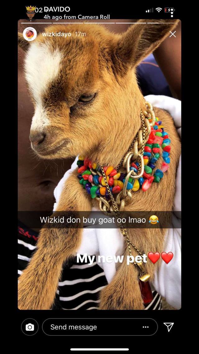 After getting a Pet Goat, Wizkid set to buy a Monkey