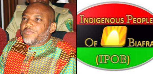 Biafra: IPOB Fires Nnmadi Kanu, For Being 'Insensitive' And 'Callous'