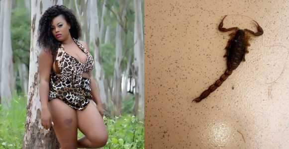 Actress Precious Onah shows off the 'demon' sent in the form of a scorpion to her room (photo)