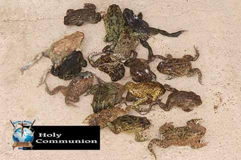 Snake pastor feeds his congregation dog meat and frogs to heal HIV and cancer (Photos)