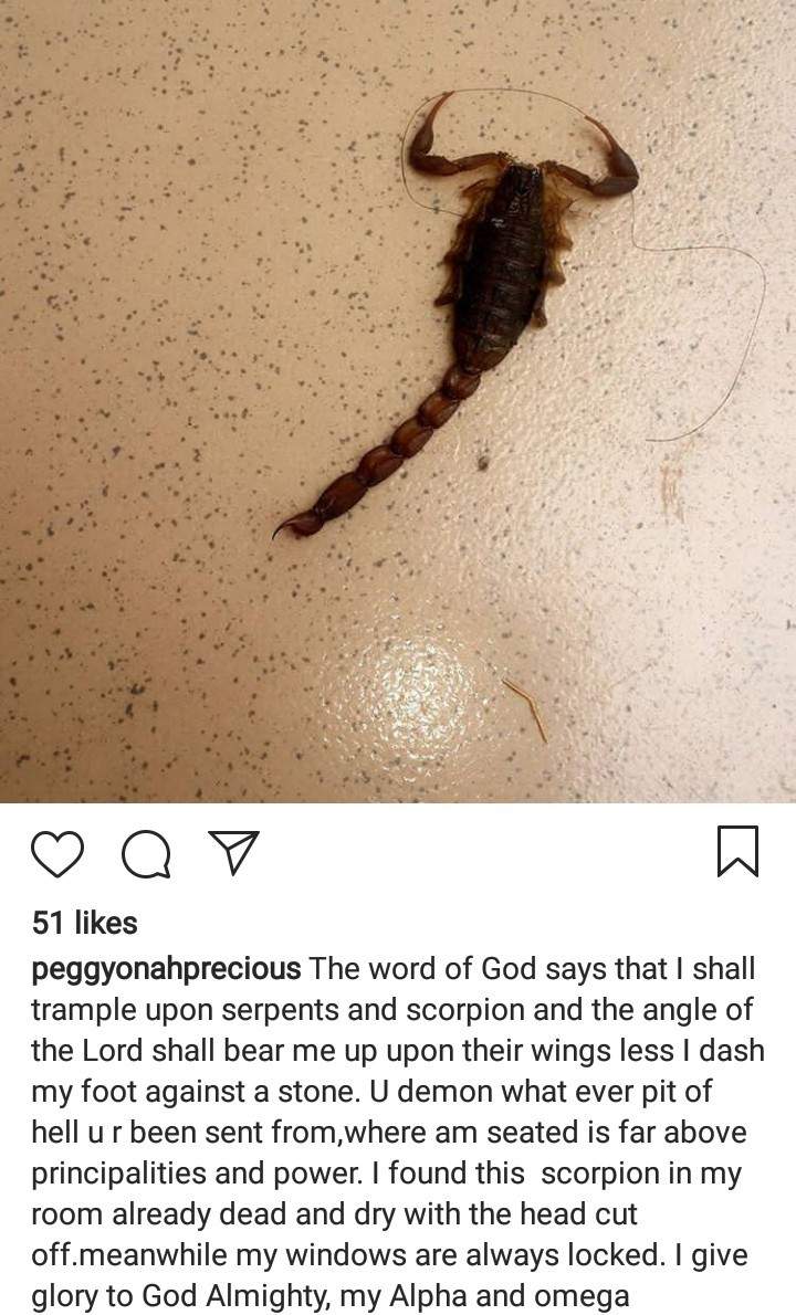 Actress Precious Onah shows off the 'demon' sent in the form of a scorpion to her room (photo)