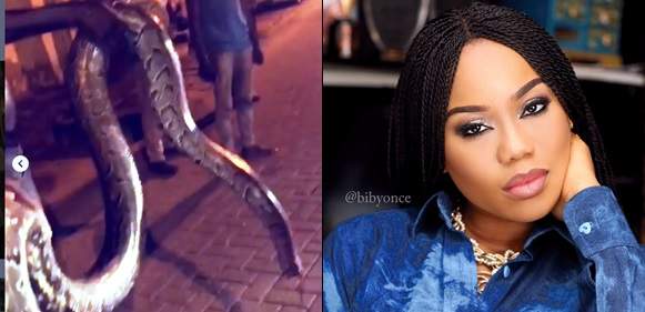 Toyin Lawani Cries Out After The Third Huge Python Was Killed In Her Banana Island Neighbourhood