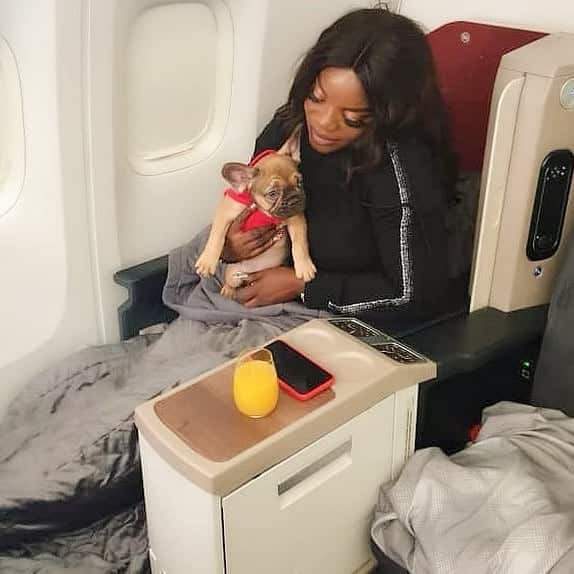 Empress Njamah flies business class with her dog (photos)