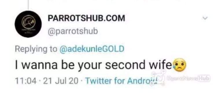 Adekunle Gold reacts as female fan begs to be his second wife
