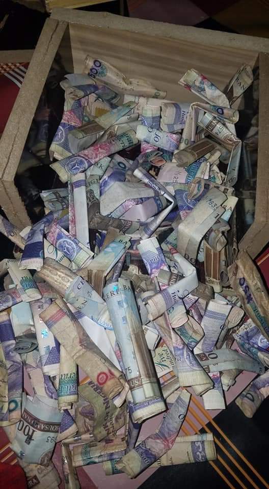 Lady shows off thousands of naira she saved from her piggy bank (Photos)