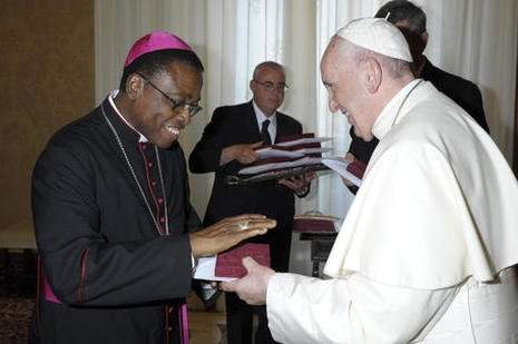 Pope Francis Appoints Anambra Bishop Into Pontifical Council