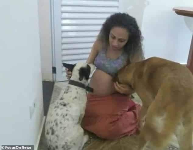 Dog mauls two newborn twins to death while their mother talks to a neighbour (photos)