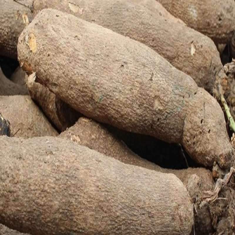 Nigerian man finds weed in yam tubers packaged by his friend to be delivered abroad (Video)