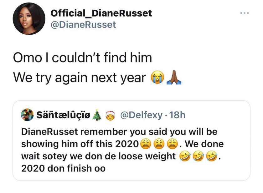 Diane replies lady who mocked her for not finding a man after promising to flaunt her man in 2020