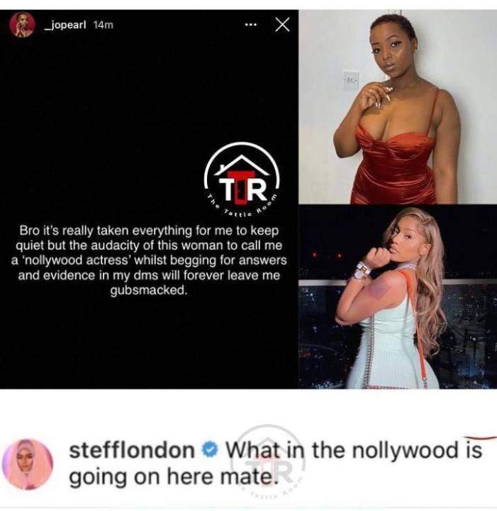 Burna Boy's Alleged Side Chick, Jo Pearl Shades Stefflon Don For Begging For Evidence In Dm