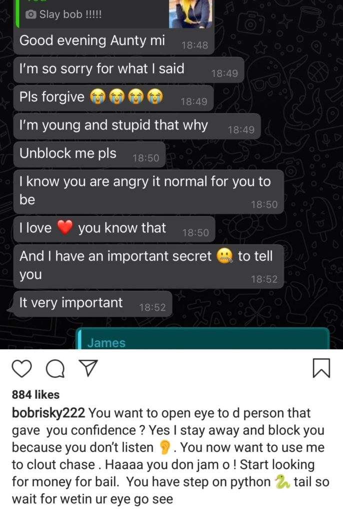 'Na for inside cell you go treat that your HIV with your wide mouth' - Bobrisky drags James Brown to filth as he leaks their chat