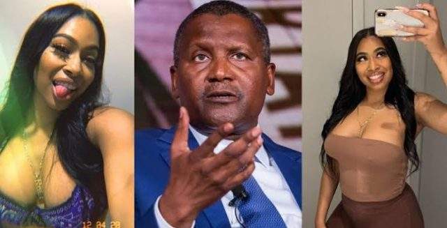 'How my ex-girlfriend, Autumn Spikes tried to extort $5m from me' - Aliko Dangote narrates