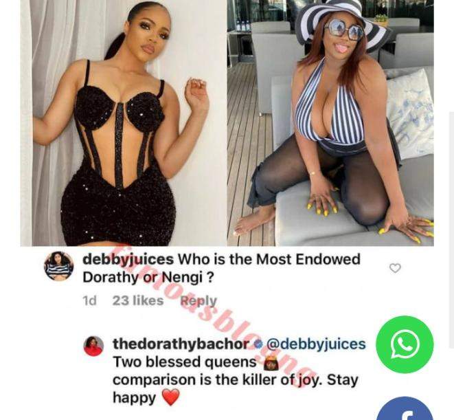 Dorathy replies lady who compared her curves to Nengi's curves