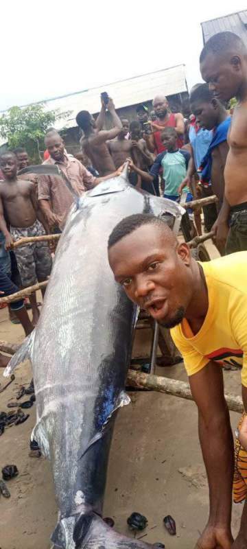 Fisherman makes a big catch of a giant swordfish in Rivers State