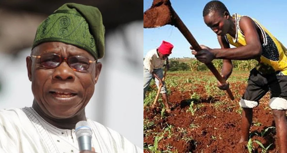 Nigeria Can Not Make It Without Agriculture- Obasanjo