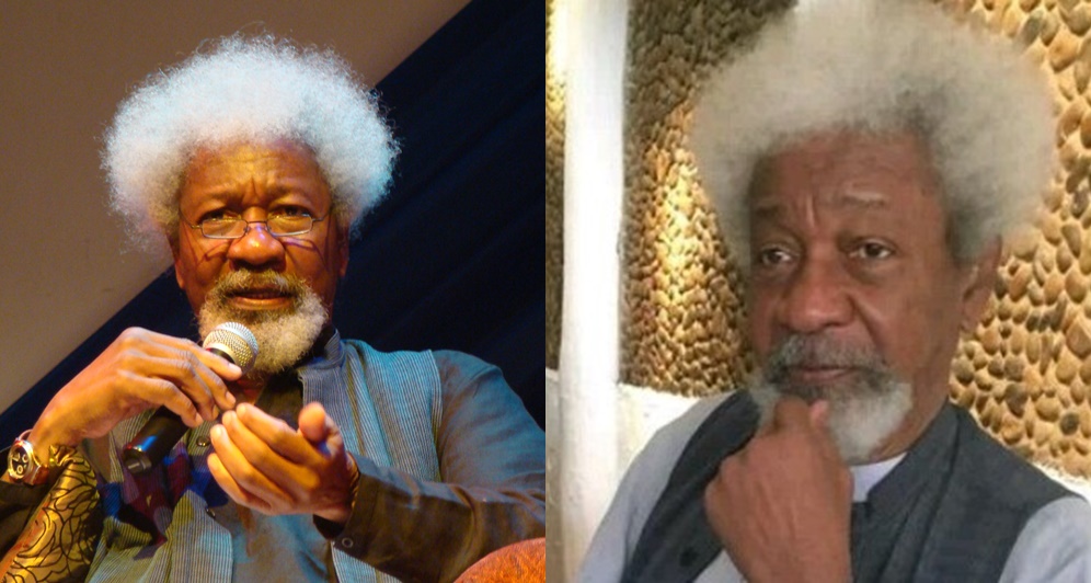 "Nigeria Has A World Record Number Of Imbeciles" - Professor Wole Soyinka