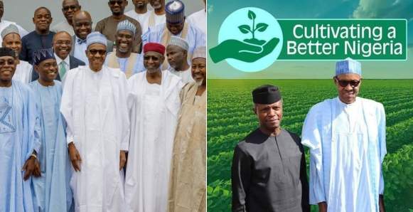 2019 Election: Fertiliser Producers Donate N570m For Buhari's Campaign