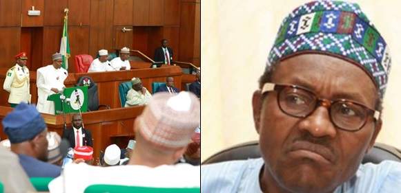 Apologize To Nigerians For 'booing' Buhari - NANS Tells National Assembly