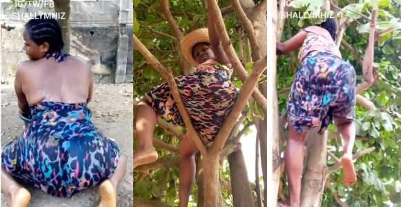 Slay Queen Climbs Tree To Dance To Davido's New Song (Video)