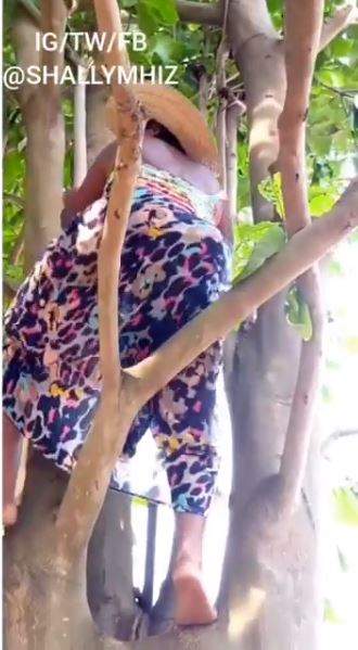Slay Queen Climbs Tree To Dance To Davido's New Song (Video)