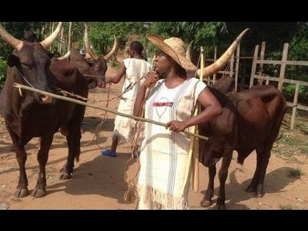 Gunmen Kill Cattle Dealer, 3 Others In Bayelsa