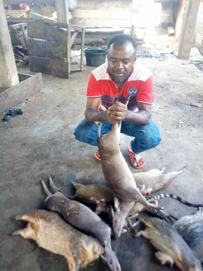 See The Starnge Animals A Skilled Nigerian Hunter Caught In The Bush (Photos)