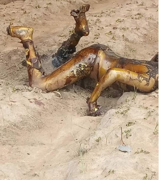 At Least 3 Burnt To Death In Benue After 2 Tankers Crashed (Graphic Photos)